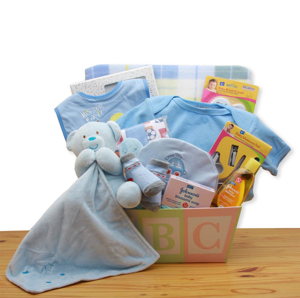 A Special Delivery New Baby Gift Basket - Blue - baby bath set - baby boy  gift basket - new baby gift basket - baby gift baskets - baby shower gifts