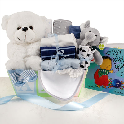 Baby ABC's: Baby Boy Gift Basket