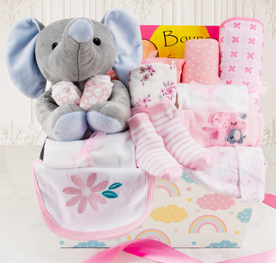 Dream Girl Baby Girl Gift Basket