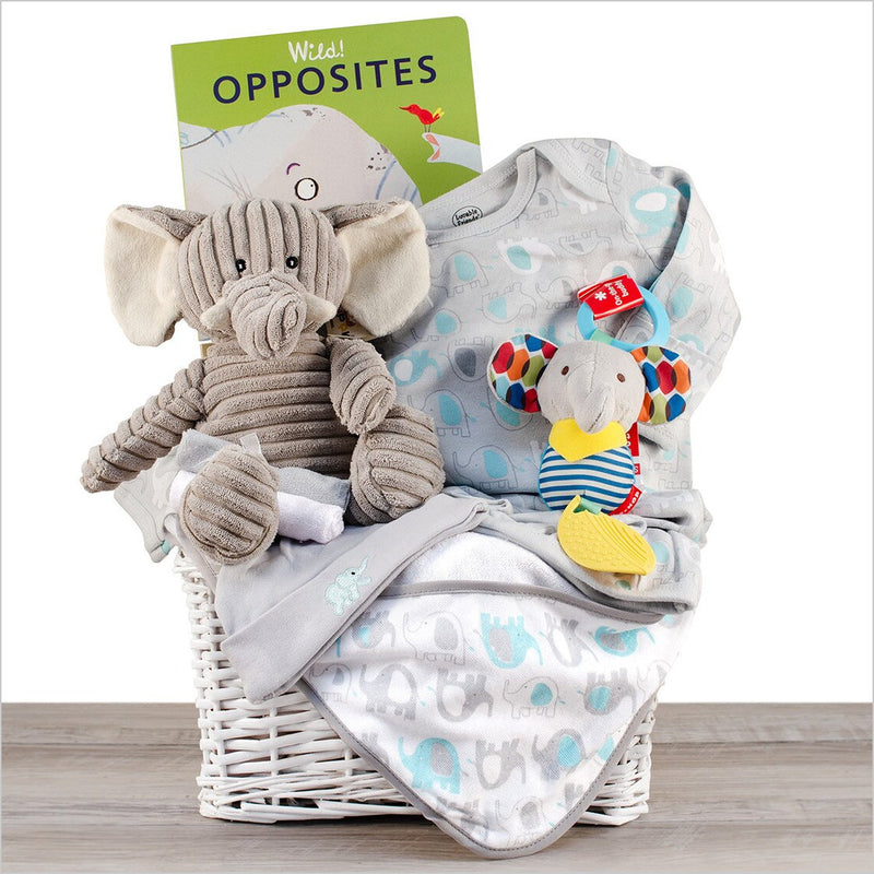 Welcome Little Peanut: Elephant Themed Baby Basket