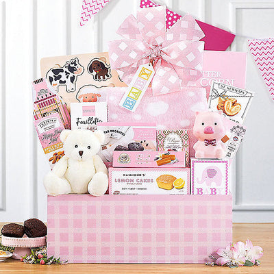 Hello Baby Baby Girl Gift Basket