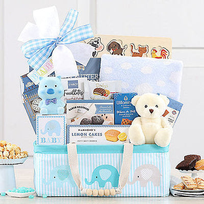 Bundle of Joy: Baby Boy Gift Basket